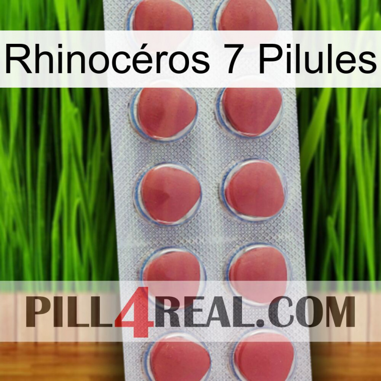 Rhinocéros 7 Pilules 18